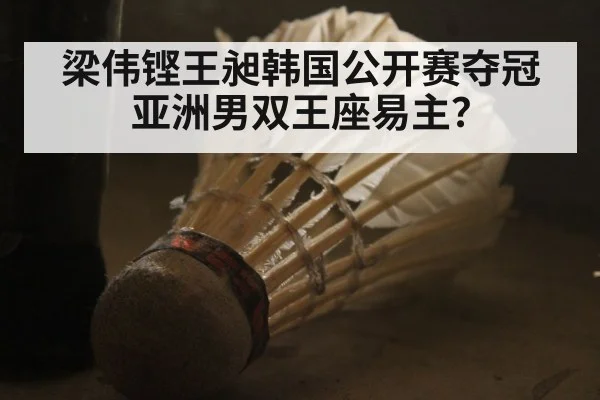 梁伟铿王昶韩国公开赛夺冠 亚洲男双王座易主?