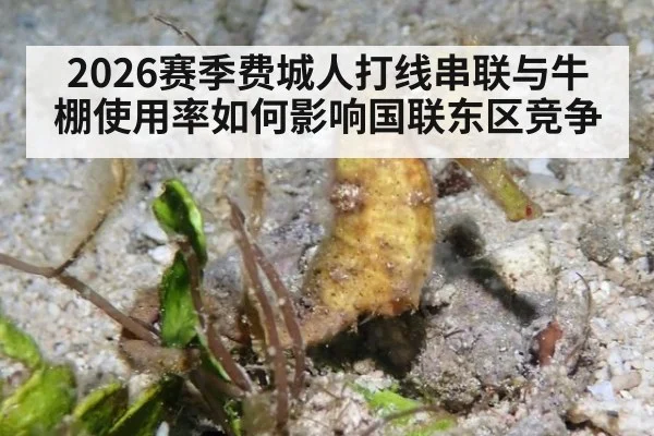 2026赛季费城人打线串联与牛棚使用率如何影响国联东区竞争