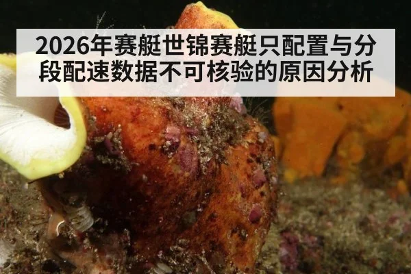 2026年赛艇世锦赛艇只配置与分段配速数据不可核验的原因分析
