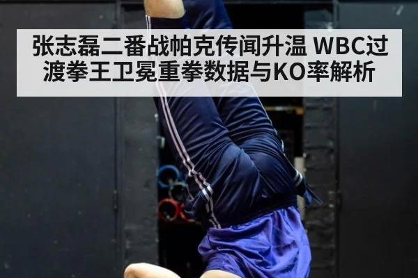 张志磊二番战帕克传闻升温 WBC过渡拳王卫冕重拳数据与KO率解析